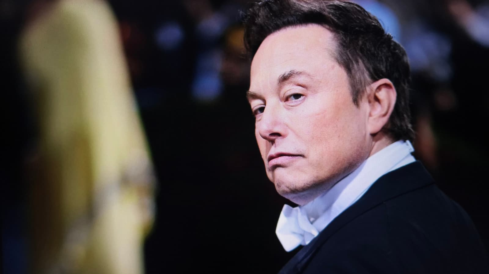 Elon Musk deve US$ 420 a funcionários da xAI que cederam dados fiscais ao Grok